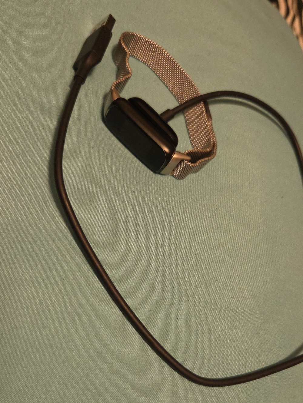 Silver FITBIT